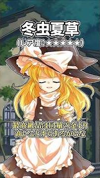 魔理沙にレア度別でキノコについて解説してもらった #魔理沙 #霧雨魔理沙 #キノコ #幻想郷 #東方 #東方project #shorts #short #ゆっくり解説 #ゆっくり茶番劇 #東方茶番劇