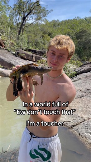 Wildlife 🤩🐍🦎🦈🐢 #snake #snakes #reptiles #wildlife #schlange #passion #hobby #animals #australia