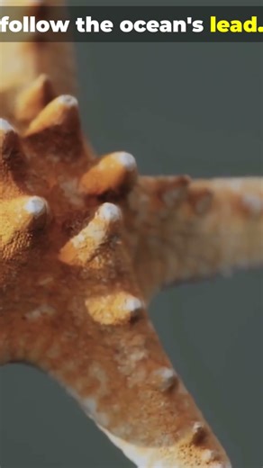 Osmoregulators vs Osmoconformers#Osmoregulation #Osmoconformers #MarineBiology #Physiology #Shorts