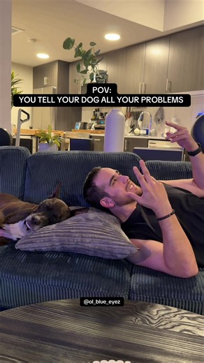 Humorous Dog Judgement: A Funny Skit