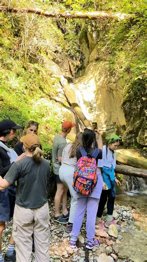 POV: You spend your days debating big ideas, attending inspiring classes and and making friends from all over the world ✨ Sounds good? Now you can make it real at CEU. Check out our Bachelor’s, Master’s, and PhD programs, choose what fits you best, and join us in September 2026 along with hundreds of students from around the globe. 📅 Apply by October 15 👉 More info: https://www.ceu.edu/admissions #SeeUatCEU #CEU #unilife #studentlife #internationalstudents #university #highereducation #Vienna 