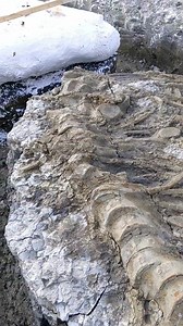 388K views · 10K reactions | In light of my recent BBC interview,...