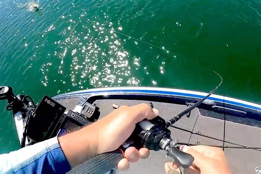 Tackle Junkie Review: Trika's New 10X Baitcast Rod - Game & Fish