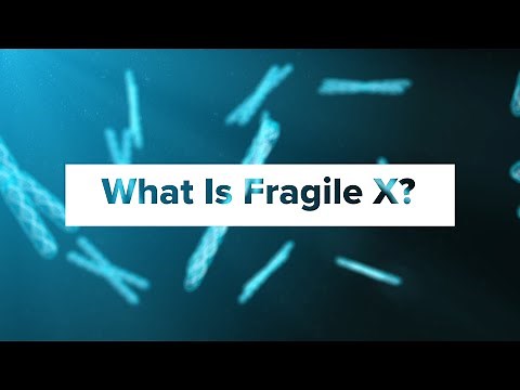 What Is Fragile X Syndrome?