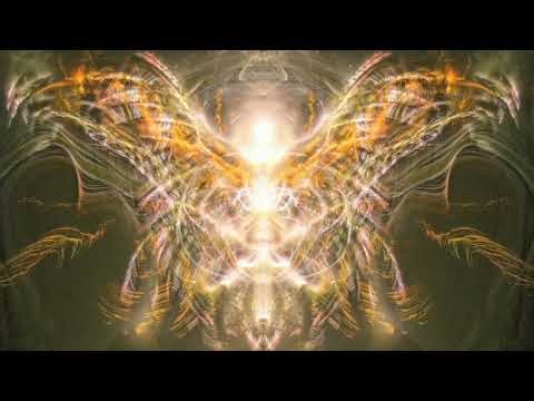 Lucifer Hummingbird - The Flaming Lips - (Video by Bryan Lahr)