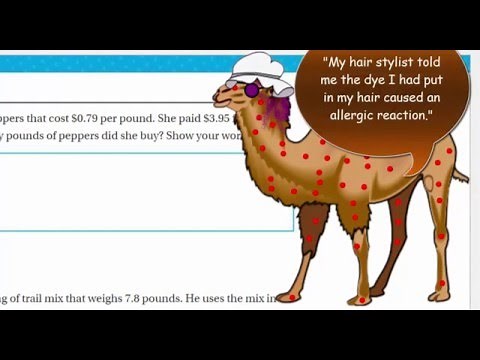 Go Math 5th Grade Chapter 5 Review Part 3
