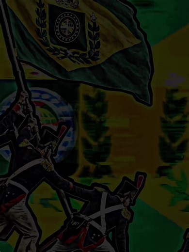 Brazilian War of Independence: A Fight for Sovereignty