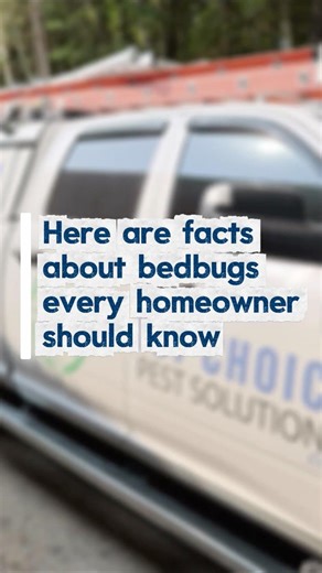 What Professionals Know About Bed Bugs