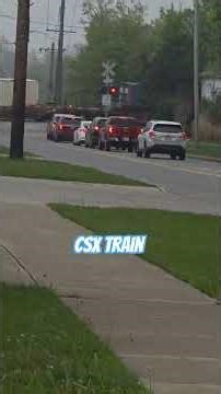 CSX Train, jax looked back at the crossing gates and were going down