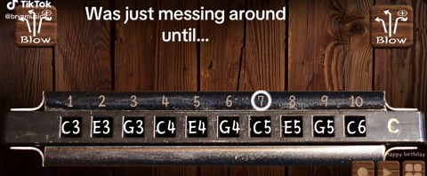 Learn Cowpoke on Harmonica: Step-by-Step Tutorial