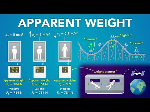 Apparent Weight, Normal Force and Scales in an Elevator | Physics - Forces & Newton's Laws