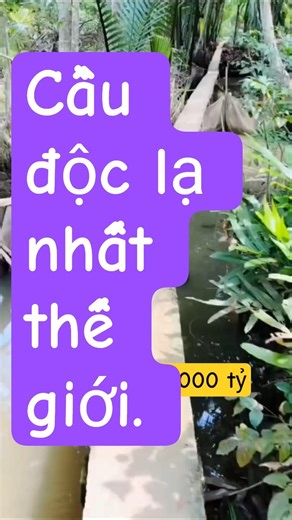 A unique bridge in Vietnam that seems to stretch endlessly. #funny #entertainment #breakingnews24h