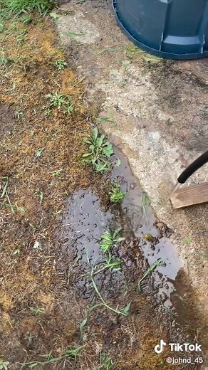 How to Siphon Water Safely and Easily