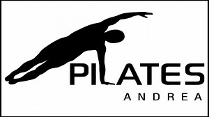Transitions in the Pilates System: 8-hour Workshop