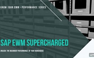 SAP EWM Training - 10 Tips to improve the Performance of SAP Extended Warehouse
