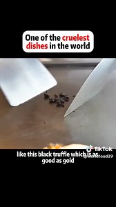 #cooking #pizza #chef #bestchef | Best Chef