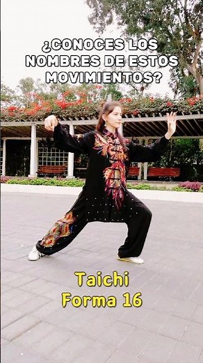 Do you know what these Tai Chi movements mean? | 16 Form #taichi #taichichuan #taiji