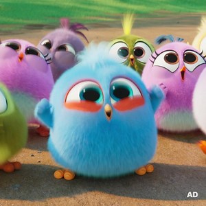 The birds and pigs are back! This time, they’ve got bigger problems than each other. Gather your flock and be the first to see The Angry Birds Movie! Early bird showings this Saturday! #AD | Nickelodeon