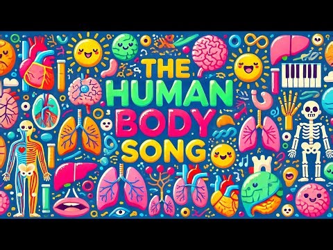 The Human Body Systems Song: Learn About the Body! 🧠❤️🎶