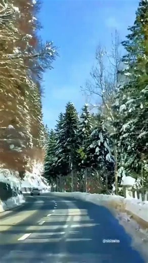 Videoclipuri postate de trandafirul galben (@trandafirul.galbe65) cu original sound - Manelotron