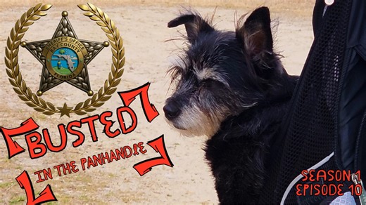 🚨 BUSTED IN THE PANHANDLE – EPISODE 10 🚨 Episode 10 of Busted in the Panhandle delivers another unpredictable lineup of calls ranging from unusual complaints to fast-moving enforcement action. This episode features deputies responding to a woman who believes she’s the “dog poop police,” a tip jar thief caught red-handed, and a call involving a citizen who wants deputies to step into the middle of a child custody dispute. Finally, what begins as a routine traffic stop also quickly escalates int