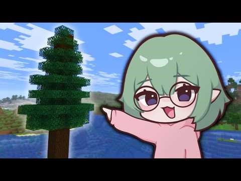 Why Are Minecraft Spruce Trees Like This? (Soft Spoken)