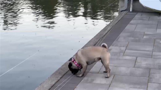 4.8K views · 150 reactions |  Betty vs. The Lake (and one very...
