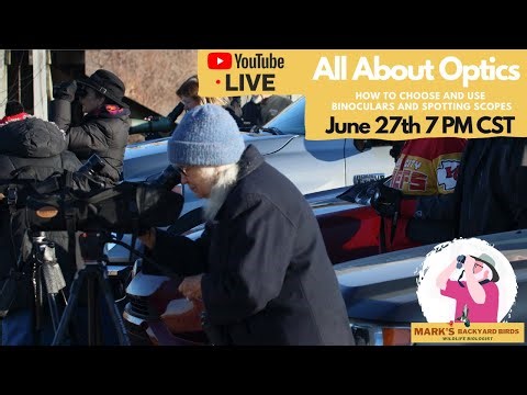 Expert Tips: How to Choose and Use Binoculars and Spotting Scopes