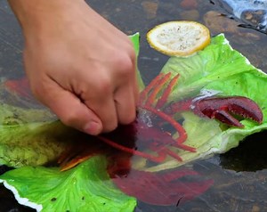 Kreative Methoden, um ein Loch zu stopfen!Wenn Sie das Video cool finden, teilen Sie es mit Ihren Freunden! | 5-Minuten-Tricks für Männer | Facebook