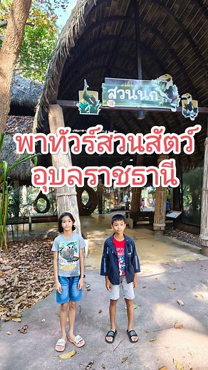 📍 UBONRATCHATHANI ZOO ใครมาอุบลฯ แล้วมองหาสถานที่เที่ยวสำหรับครอบครัว แนะนำที่นี่เลยค่ะ! มีสัตว์หลากหลาย และมีกิจกรรมให้อาหารสัตว์ 👏 การนั่งรถรางชมก็ดีงาม แต่ถ้าอยากเที่ยวให้ทั่วทุกโซน และจอดได้ตามใจเพื่อทำกิจกรรม แนะนำให้เช่ารถกอล์ฟค่ะ! ไม่งั้นจะพลาดเหมือนเรา 😭 วันนี้รถกอล์ฟไม่ว่าง รอบหน้าไม่พลาดแน่ #UbonRatchathaniZoo #สวนสัตว์อุบลราชธานี #เที่ยวอุบล #ที่เที่ยวอุบล #ที่เที่ยวครอบครัว #พาลูกเที่ยว #UbonZoo #กิจกรรมครอบครัว | บ้านสวนแฟรี่ ธีทัต