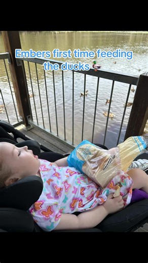 Feeding Ducks with Sourdough Bread: A Relaxing Moment in Nature