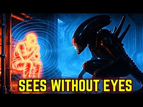 How Xenomorphs Hunt Without Eyes - The Alien’s Unbelievable Targeting Explained!