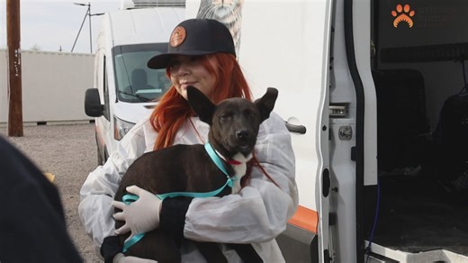 21 pets from California brought to Arizona to find 'furever' homes