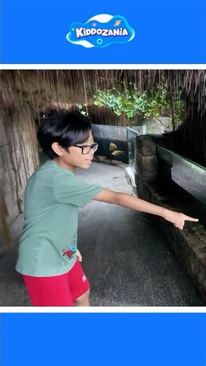 Hunter Explores Amazing Freshwater Fish and Animals
