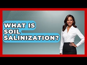 What Is Soil Salinization? - The World of Agriculture