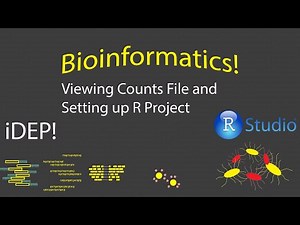 Bioinformatics - Quick Look at Counts and Setting Up R Project