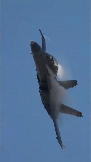 The Legacy Hornet is the best! Gunship Gray scheme is just awesome! Malaysian Air Force F/A-18D