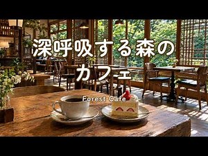 途中広告なし【カフェBGM】深呼吸する森のカフェ｜森に癒されるリラックス時間｜作業用・読書・リラックス