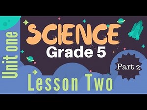 Grade 5 | Unit 1 - Lesson 2 - Part 2 - Seeing colored objects