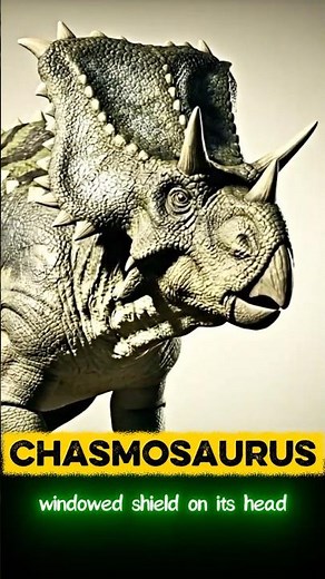 Chasmosaurus: The Dinosaur with Windows in its Frill #aianimations #dinosaur