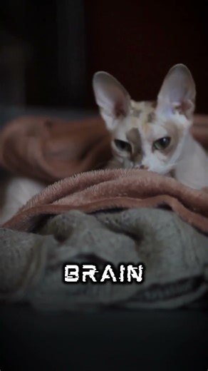 Loud chewing makes you rage? #Shorts