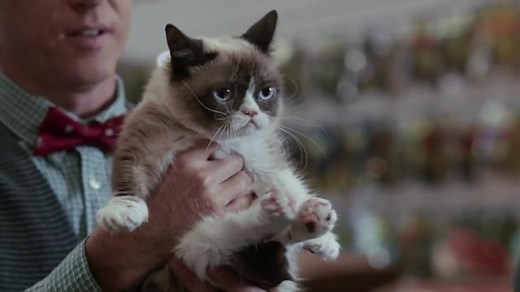 Grumpy Cat's Christmas Movie Trailer is Out