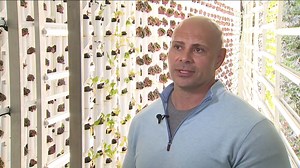 A Colorado company getting fresh food to people who need it most. "Our biggest challenge will be we can't make enough of these." FarmBox Foods in Sedalia, CO shows you how these vertical farms are solving a world-wide problem. Read the story: https://bit.ly/3L4Aaq4 | Denver7