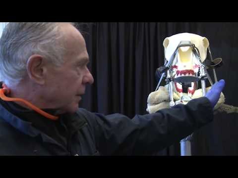 PowerFloat How to Float-Dental Procedures