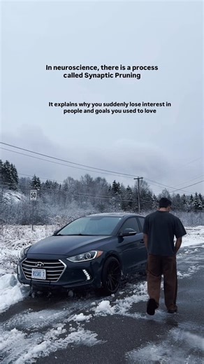 RISHI RANA on Instagram: "In 2010, neuroscientists at UCLA published findings on a silent brain process. Synaptic Pruning. The intentional removal of neural pathways that are no longer reinforced. The brain is not sentimental. It is efficient. It cuts unused circuits the way a gardener cuts dying branches. A manifestation teacher described a pattern she sees often. Someone spends months doing inner work, shifting perspective, reprogramming assumptions. Then suddenly, they feel nothing. The frien