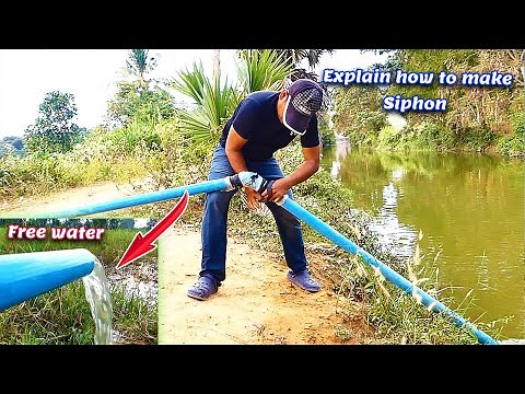 DIY: How to make Siphon System | Pump without electricity | Free Energy pump | 4k Video