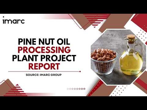 How to Setup a Pine Nut Oil Processing Facility: Detailed Report 2026