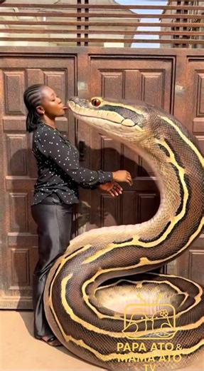 Chief Bridesmaid Tries to Sabotage Wedding