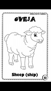 1.7K views · 27 reactions | Editorial Capi Aventura on Reels | Facebook