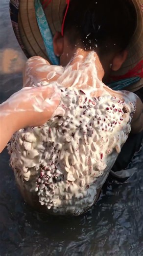 P1776 Oh my God halloween #keşfet #bgm #meme #love #comedy #pets #viralvideo #motivation #shots